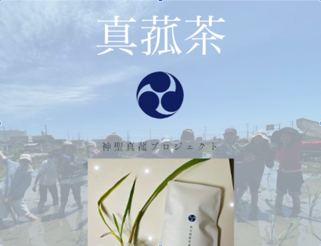 自然農法 真菰茶