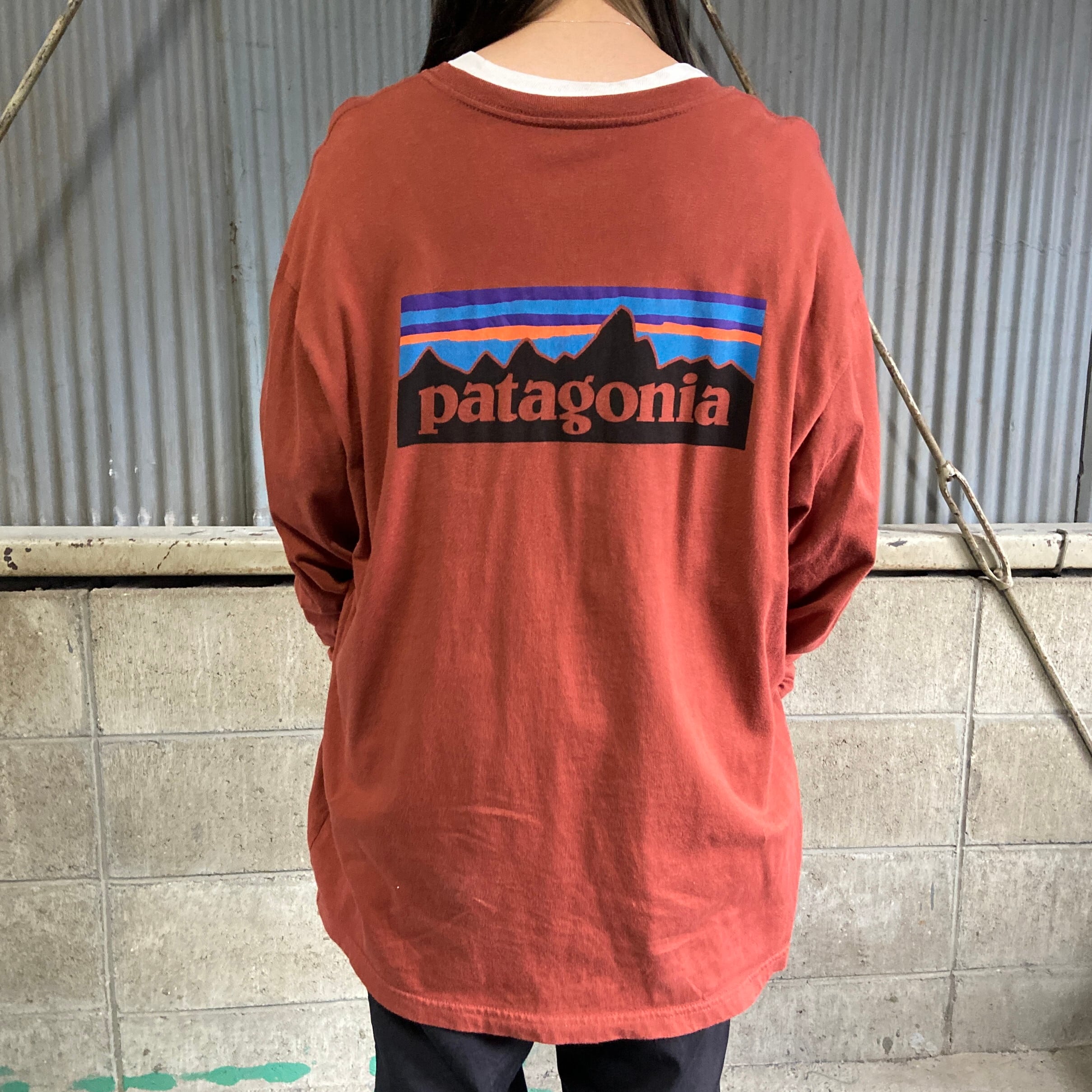 USA製 patagonia パタゴニア 胸ロゴ バックプリント ロングTシャツ 