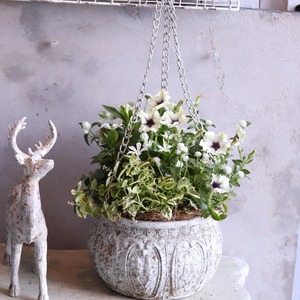 寄せ植え　ニチニチソウ白雪姫２WAY寄せ植え｜届いてすぐ飾れる完成品｜玄関にオススメ｜新築・開店祝いギフト｜モンディマンシェ
