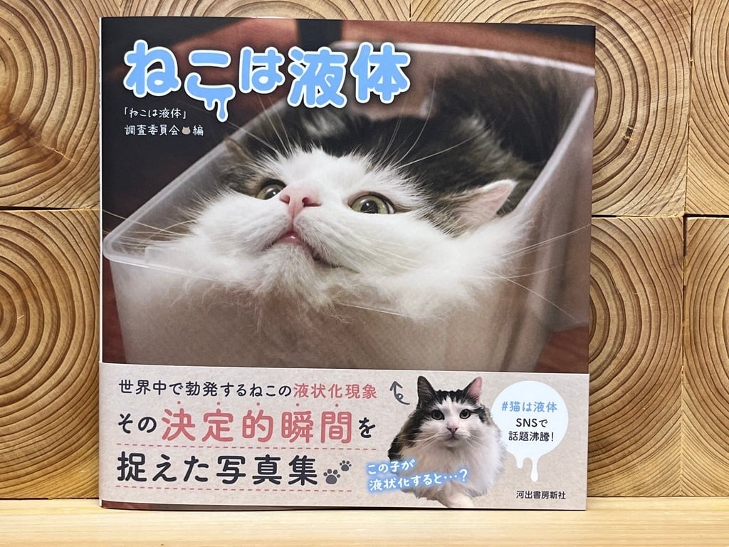 ねこは液体 | 冒険研究所書店