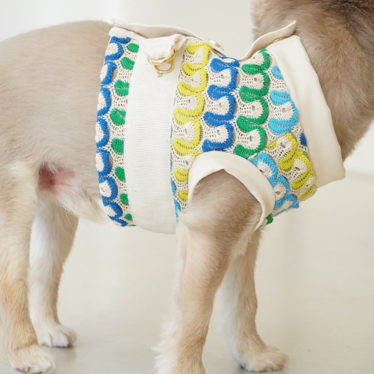 イタリア製　【not too pet ™】首輪 イタリア製 【not too pet ™】首輪 イタリア製【not too pet ™】首輪