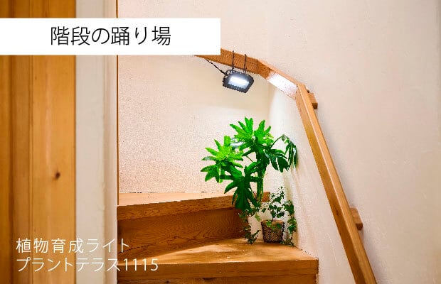 植物育成ライト プラントテラス1115 スタンド LED照明 太陽光 簡単
