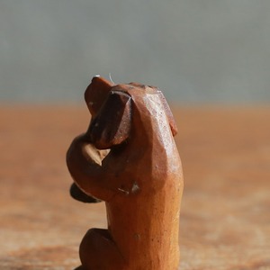 一生懸命演奏する、小さなイヌの音楽隊 3