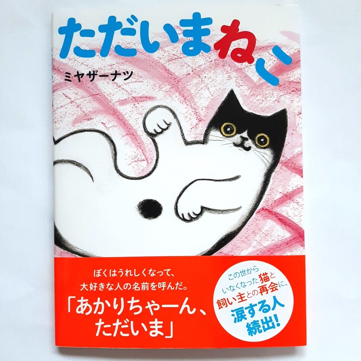 ただいまねこ | ねこのみち