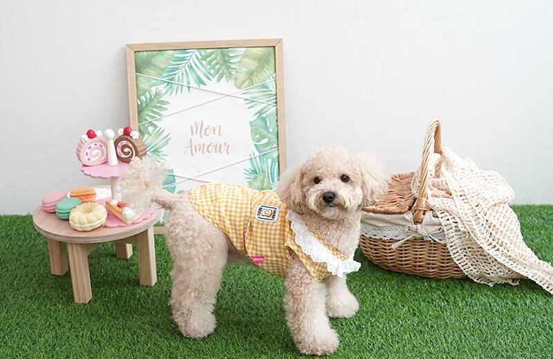 【SALE】lunch box vest S ~ XL / 犬服 春夏 新作 ベスト ドッグウェア 涼しい 可愛い 犬の服 小型犬 中型犬 ペット 犬 服 猫 袖なし top107