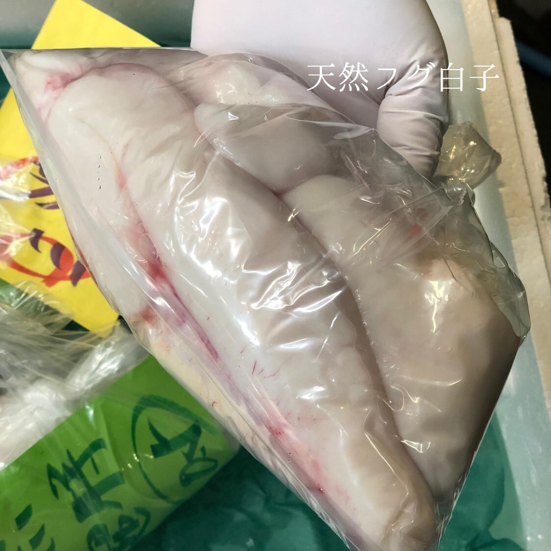 天然トラフグ 白子 500g 下関産 他 厳選食材【天フグ白子500g】冷蔵