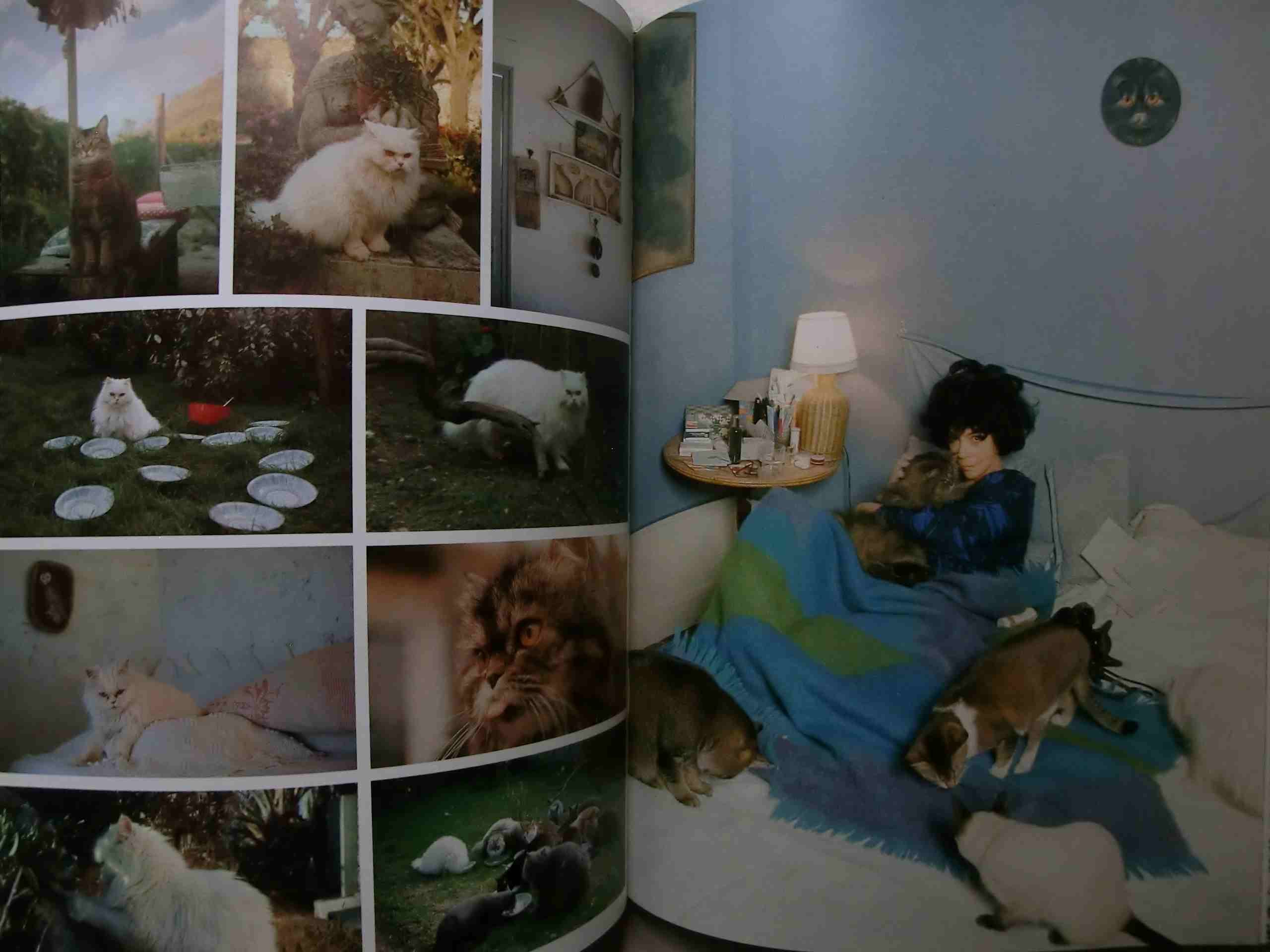 レオノール・フィニ Le livre de Leonor Fini 1979年 画集 シュル