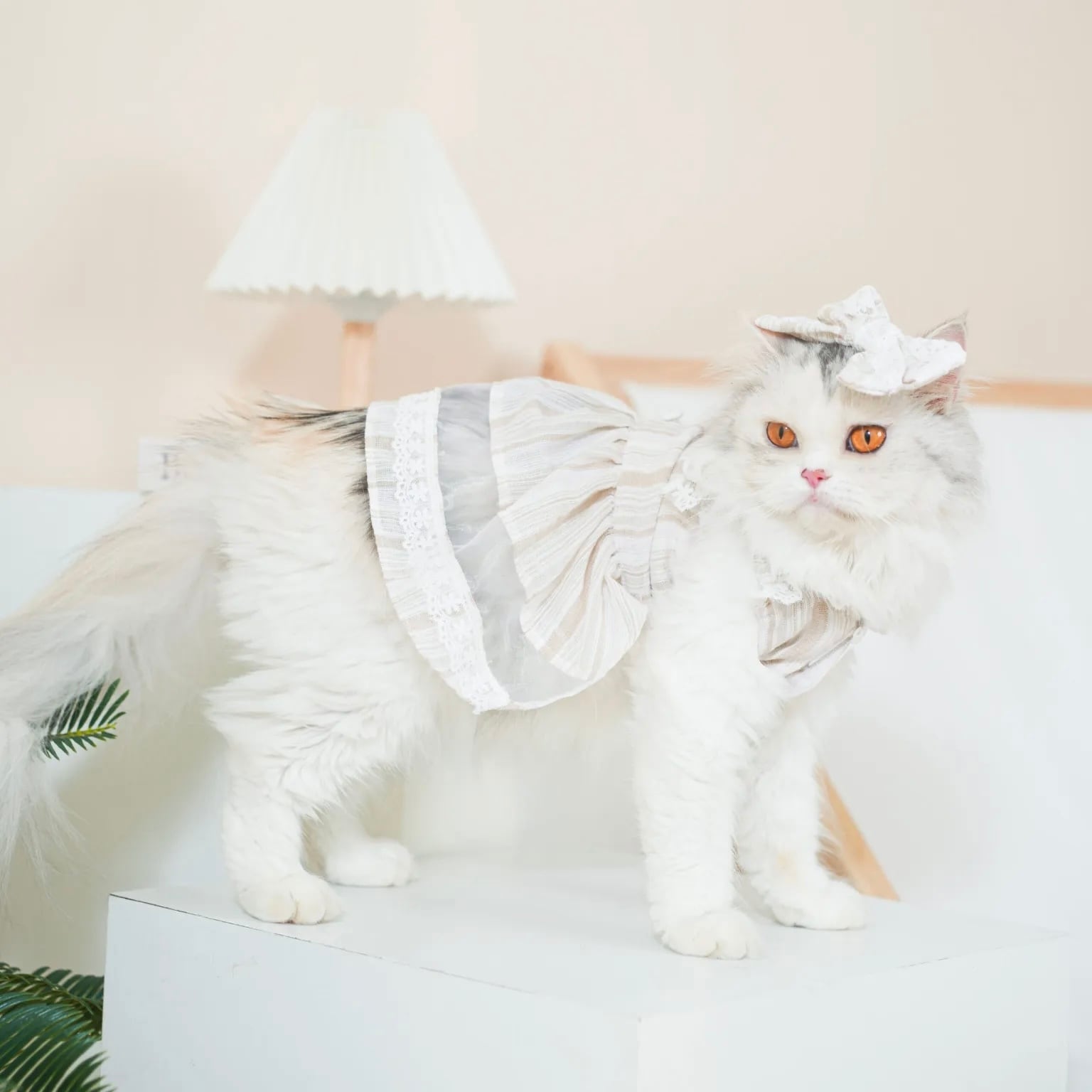 Sunkissed – Pet Dress〈size:XS-M＋〉