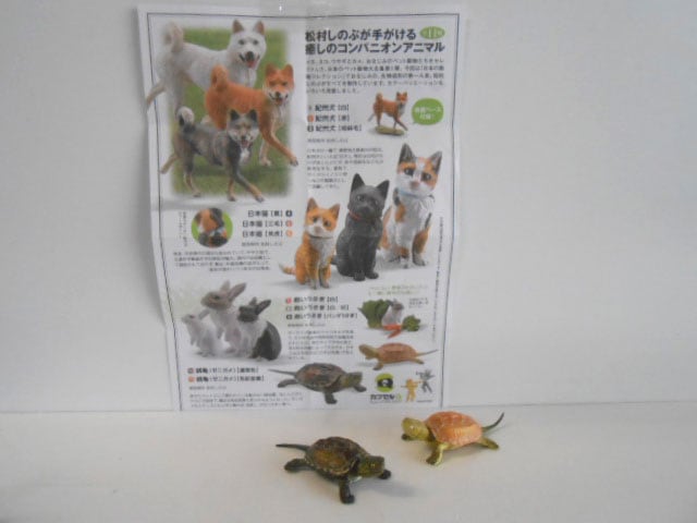 ♯Kui17KZサイエンステクニカラー人体模型ストラップ1全6種