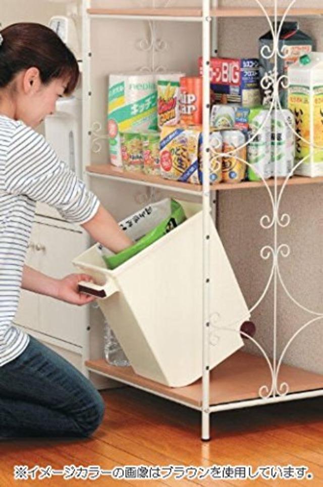 イノマタ化学 米びつ 袋ごと米びつ 計量カップ付き 10Kg