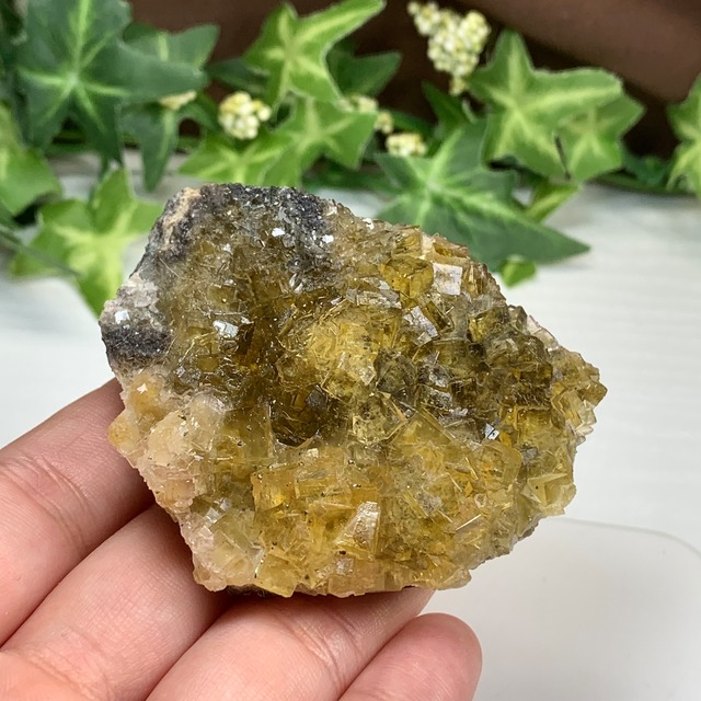 スペイン産☆パイライト共生･イエローフローライト原石クラスター