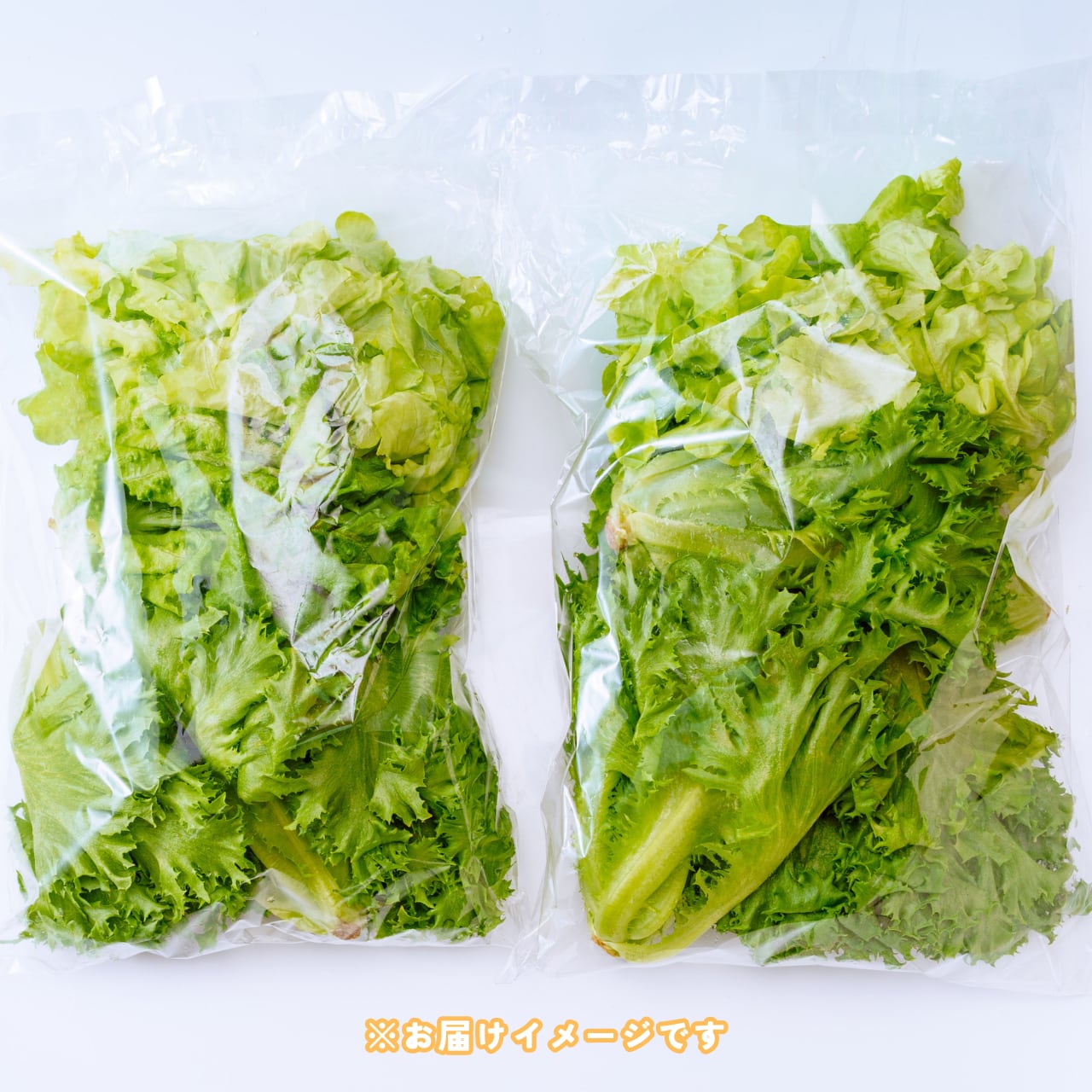 d826e0aea56642d654c29f81257c0d