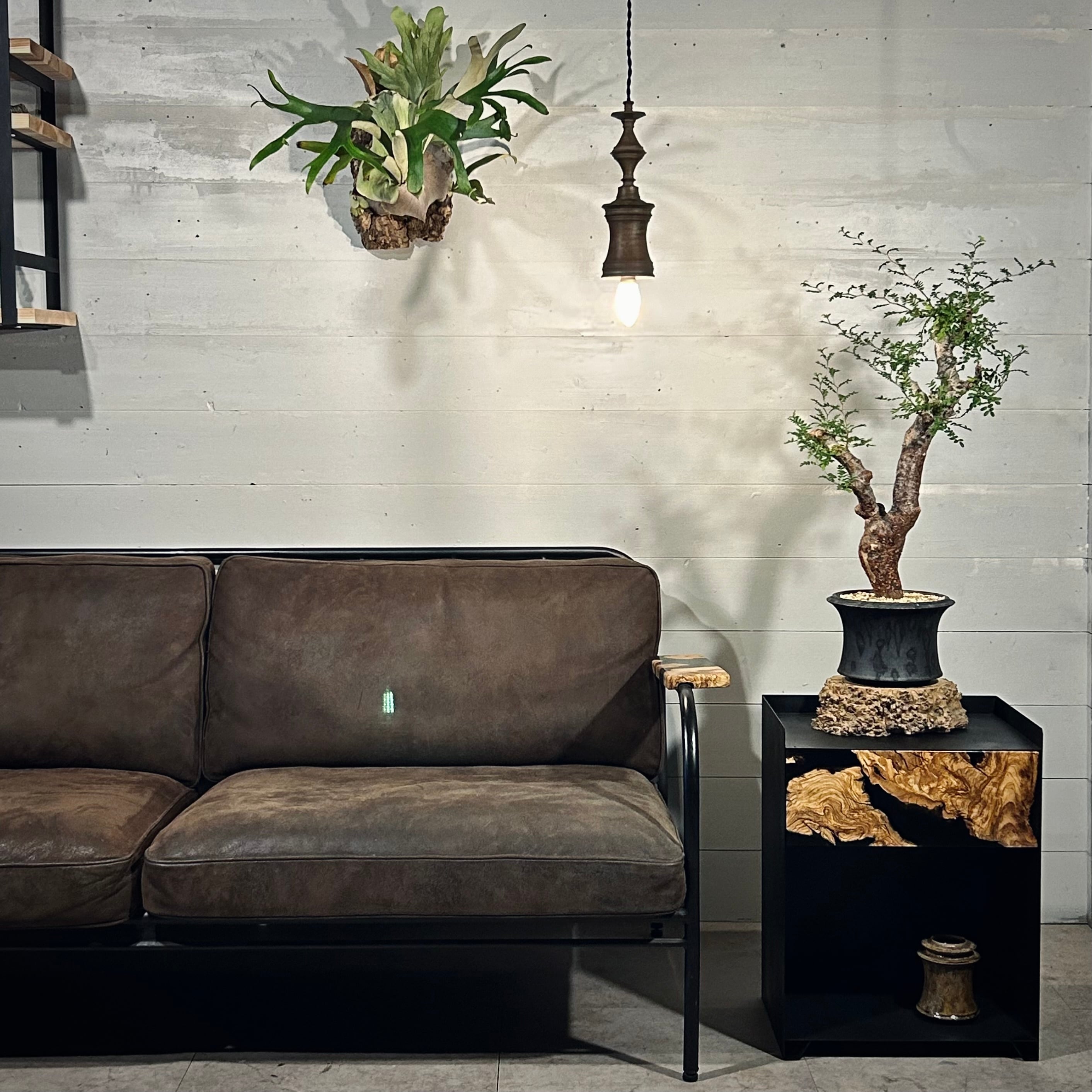 wire.furniture ウッドレジン　台座 wood resin board 🍁 . . premium burl × espresso