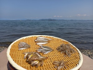 【Sサイズ】琵琶湖の旬を届ける淡水魚セット