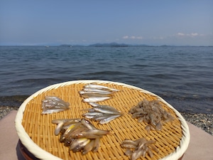 【Sサイズ】琵琶湖の旬を届ける淡水魚セット