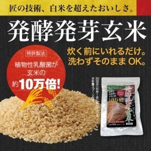 乳酸菌が10万倍！洗わず使える発酵発芽玄米 300g