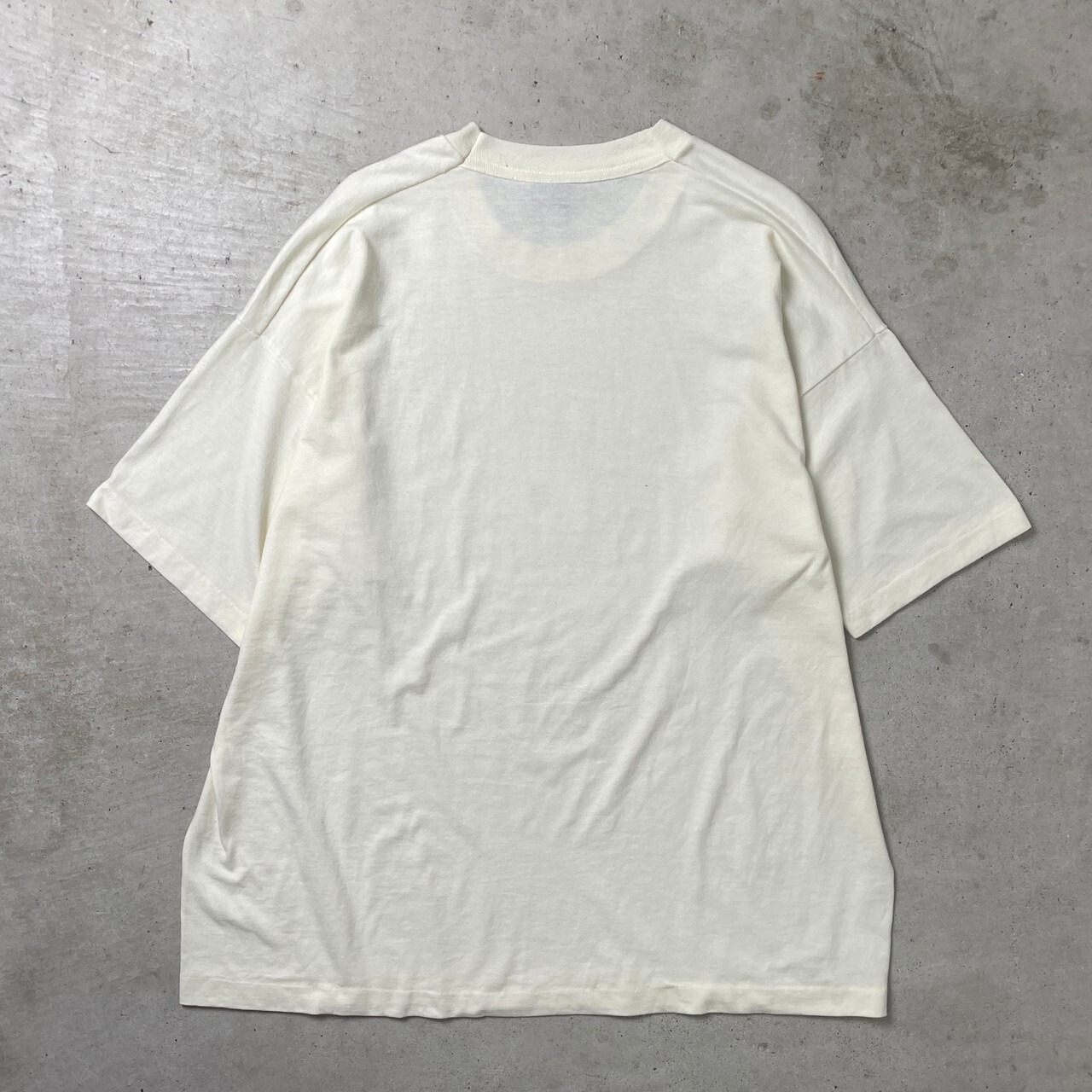 90年代 USA製 FRUIT OF THE LOOM 花 鳥 アートプリント Tシャツ メンズ 