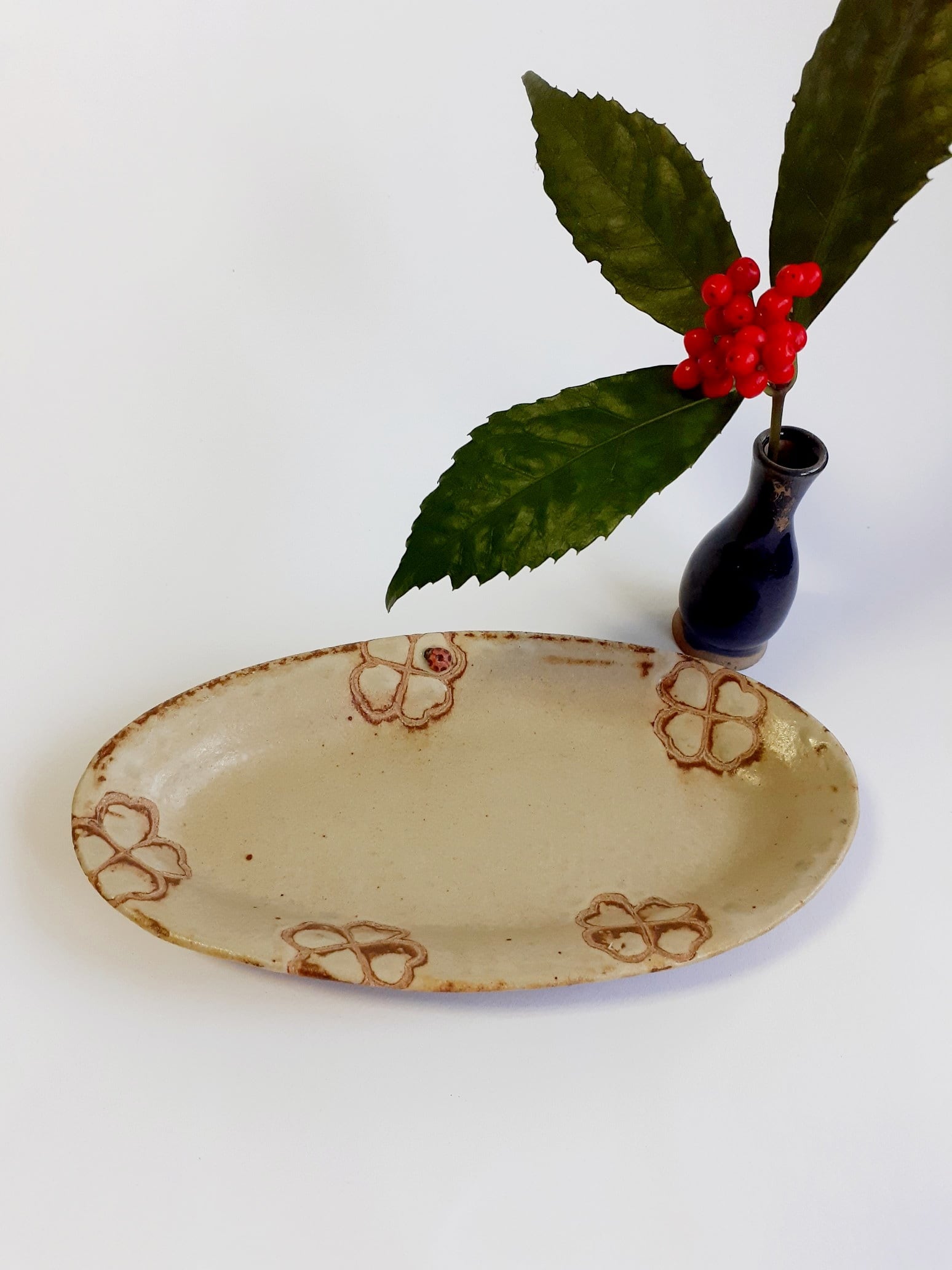 てんとう虫のお皿 | shop&galleryいつか月をつかまえる