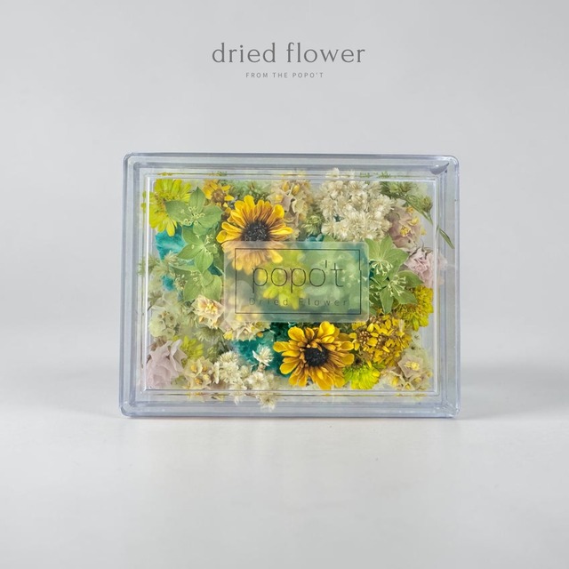 【レジン封入用】花材Box❁⃘*