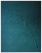 藤田はるか 写真集"Torikumo"【特装版】オリジナルプリント(美濃和紙）1点付き no.3 thumbnail 1