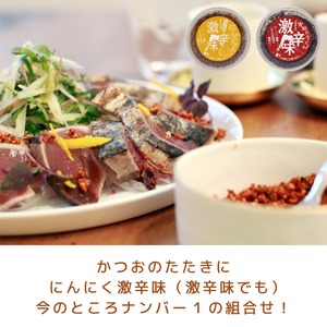 富士吉田名物 激辛味 10個セット すりだね 2種類（激辛味・にんにく激辛味）万能調味料