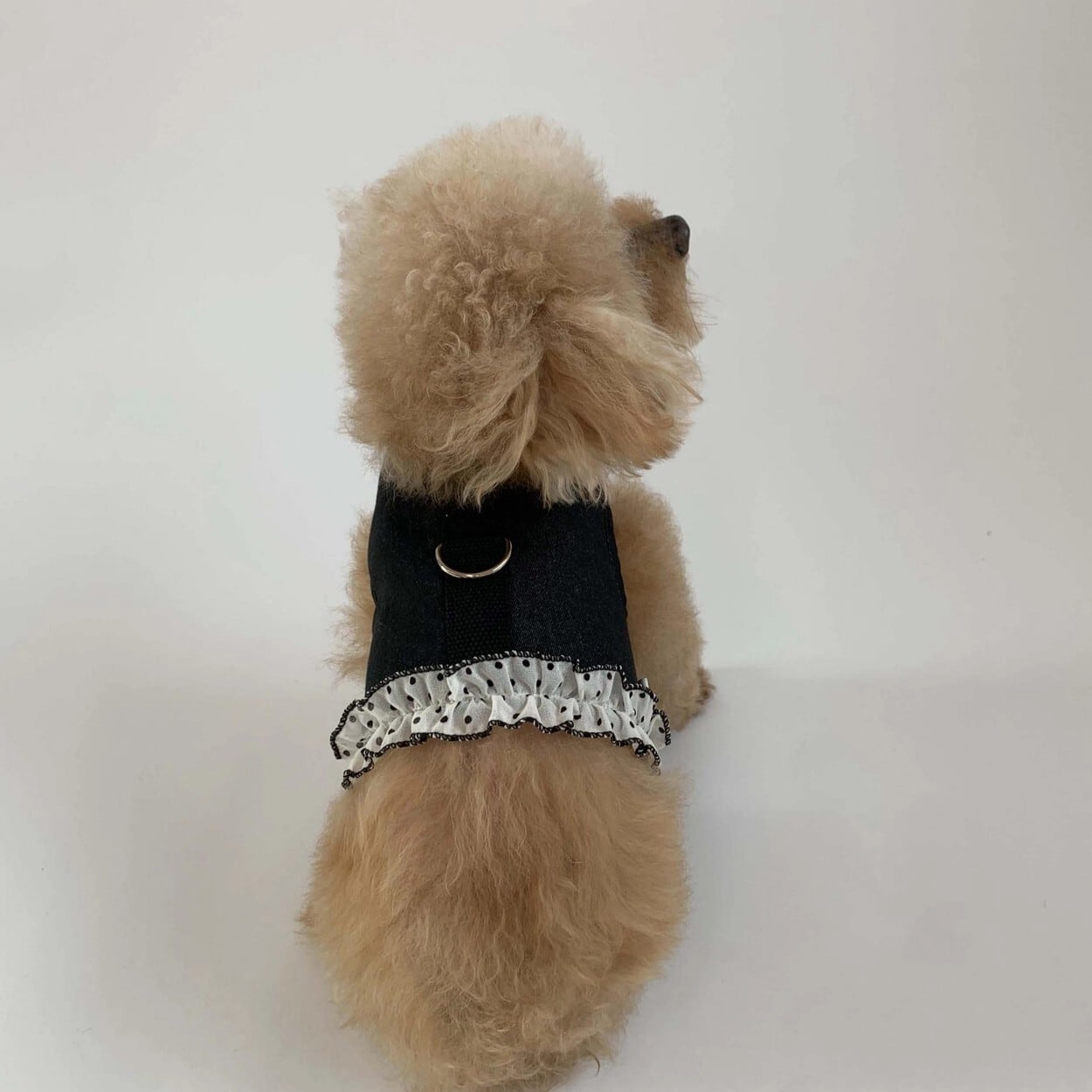 DOG WEAR | LUANA DOG