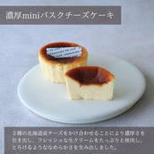 とろける濃厚miniバスクチーズケーキ