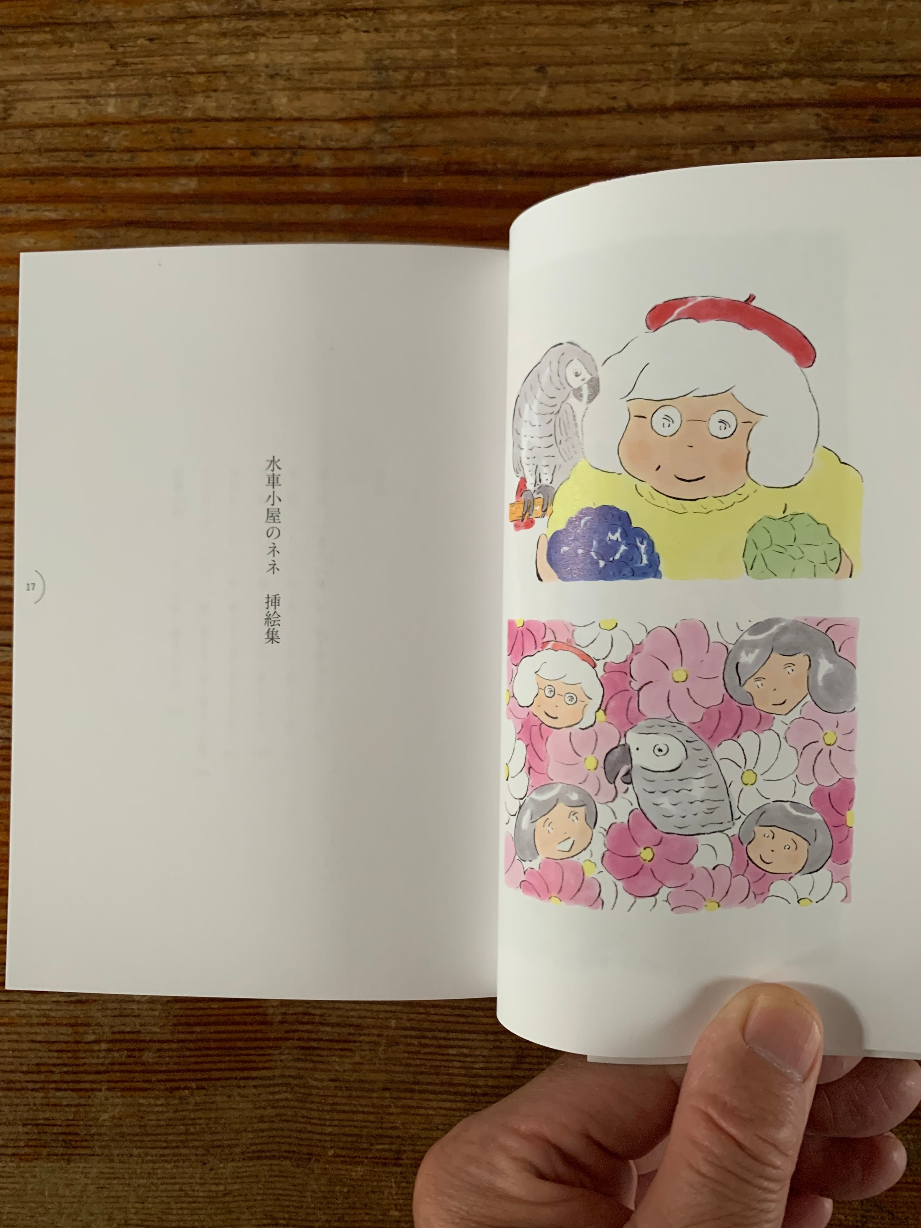 北澤 平祐・津村 記久子『水車小屋のネネ 挿絵集』 | STANDARD BOOKSTORE