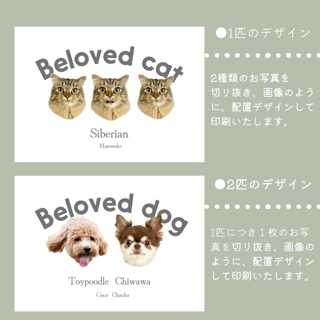 ふわもちうちの子ブランケット