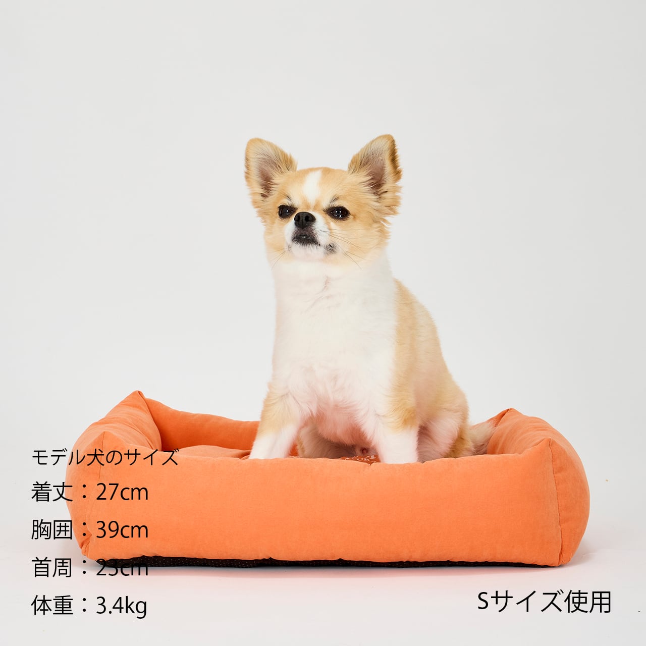 FLAT BED（L） フラットベッド | MANDARINE BROTHERS マンダリン