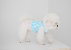 即納【THEREST OF LIFE】DAYS STRIPE CROP (AQUA/Mサイズ)