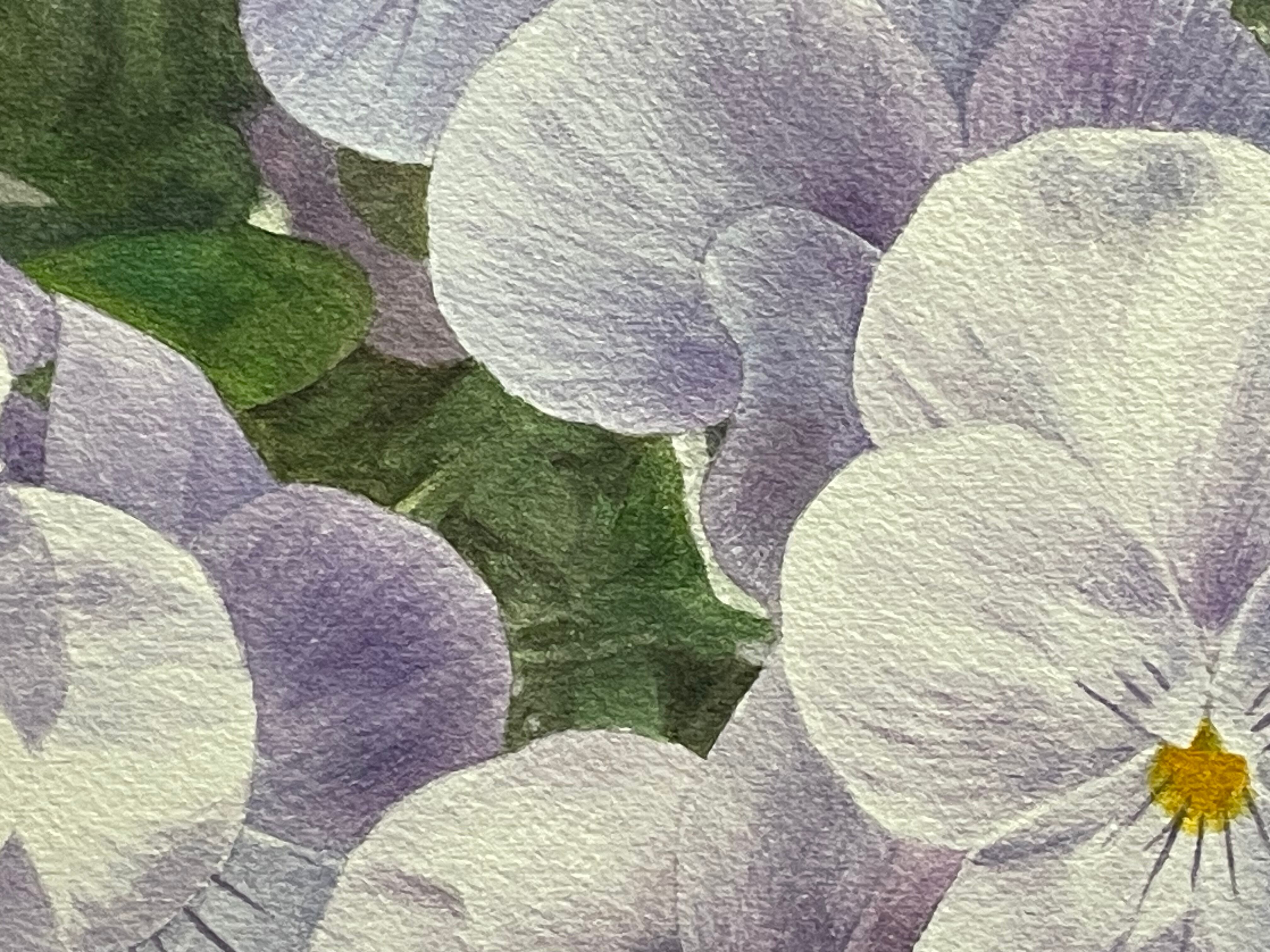 F4透明水彩画「パンジー」 | 絵楽人（辻匠）