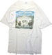 80年代 90年代 スイサイダル・テンデンシーズ バンド Tシャツ 【L】 ｜ アメリカ ヴィンテージ 古着