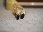 カウボーイの男の子 小さなセルロイド 画像16