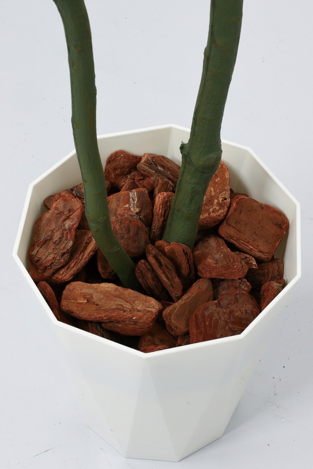 １８０ＣＭウンベラータポット　その他　GLPS-1512BRL　4961823434075　造花（アーティフィシャルフラワー） > 観葉植物