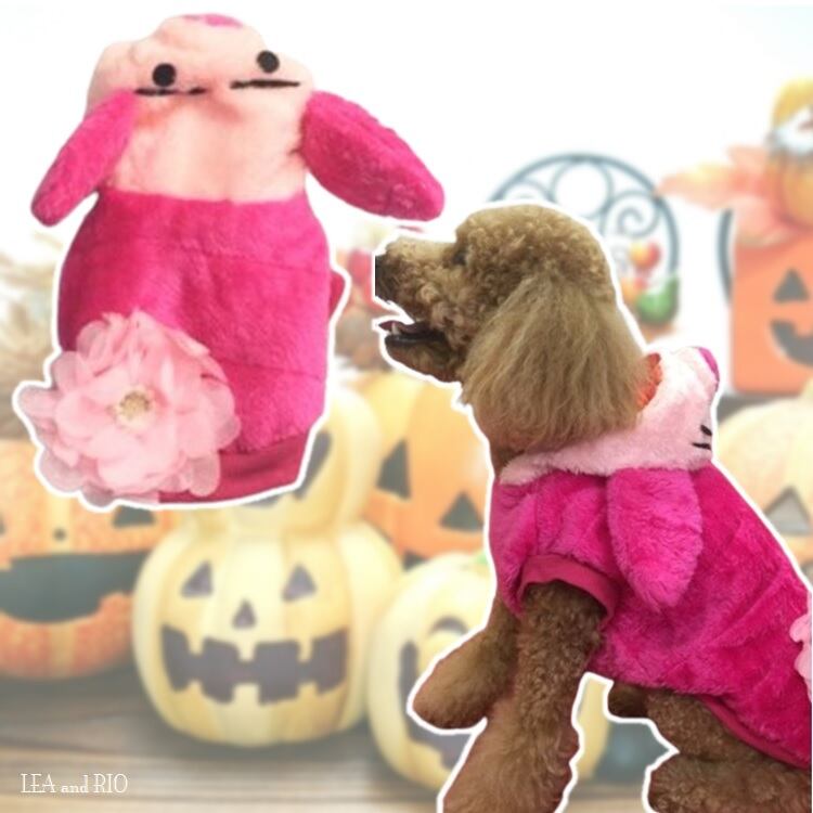 トップス N55 着ぐるみ ピンク 桃 ブタ 花 コスチューム