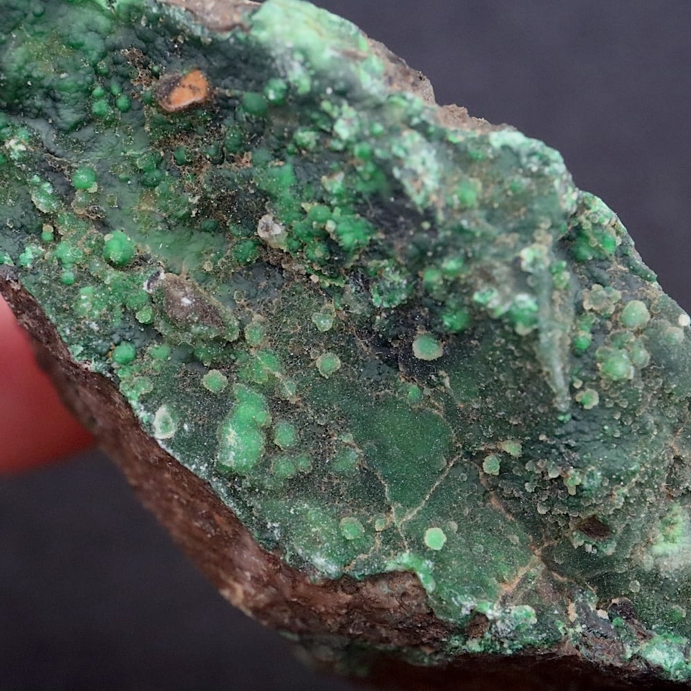 Conichalcite コニカルコ石 鉱物標本 鉱物標本 原石 コニカルコ石 Conichalcite メキシコ産 : PEN