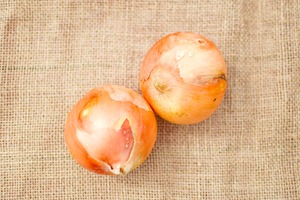 ふぞろい  訳あり・玉ねぎ（５000g/箱）