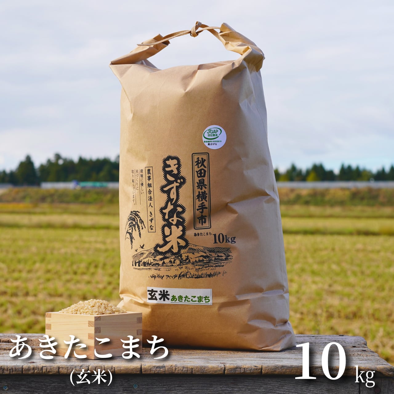 あきたこまち 10kg 玄米