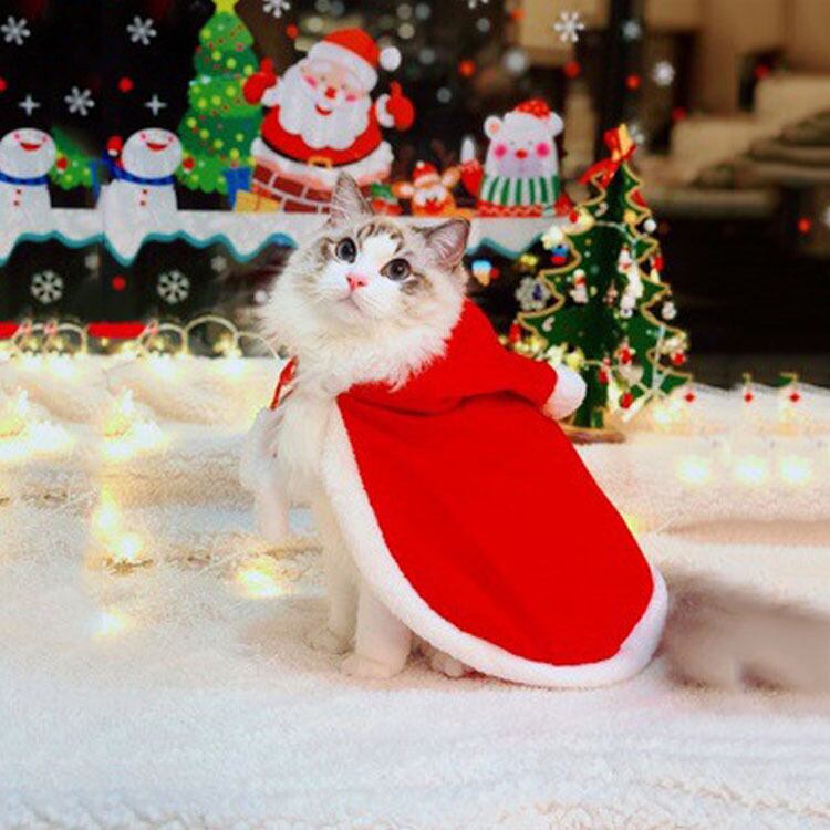 クリスマス幅広ファーシュシュ(ゴールド×白)わんちゃん猫ちゃん用 猫