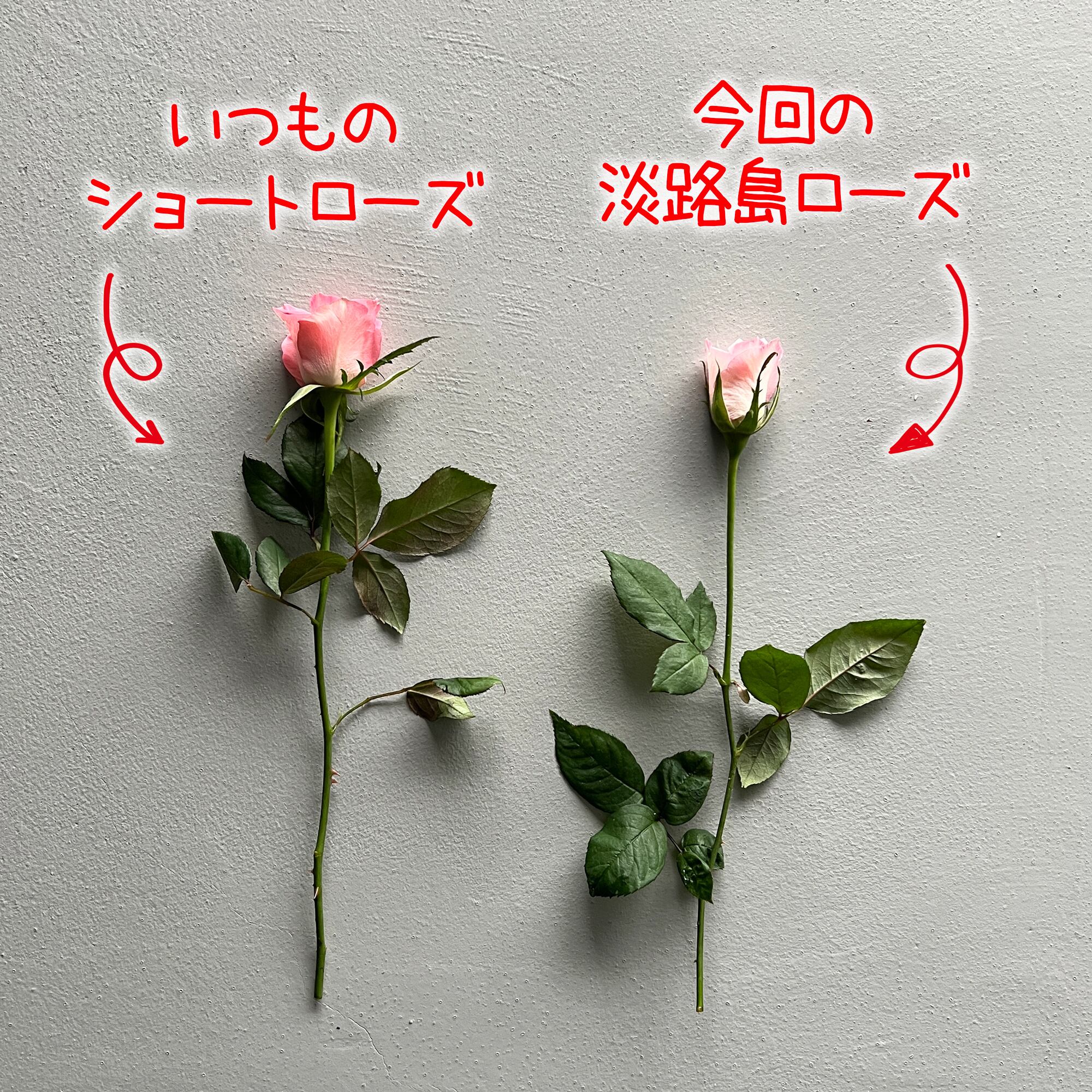 お花すくい♥ くり抜こ