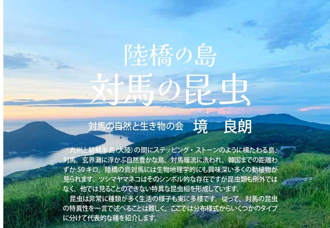 対馬自然観（対馬博物館R8年度特別展図録） | 北九州・魚部