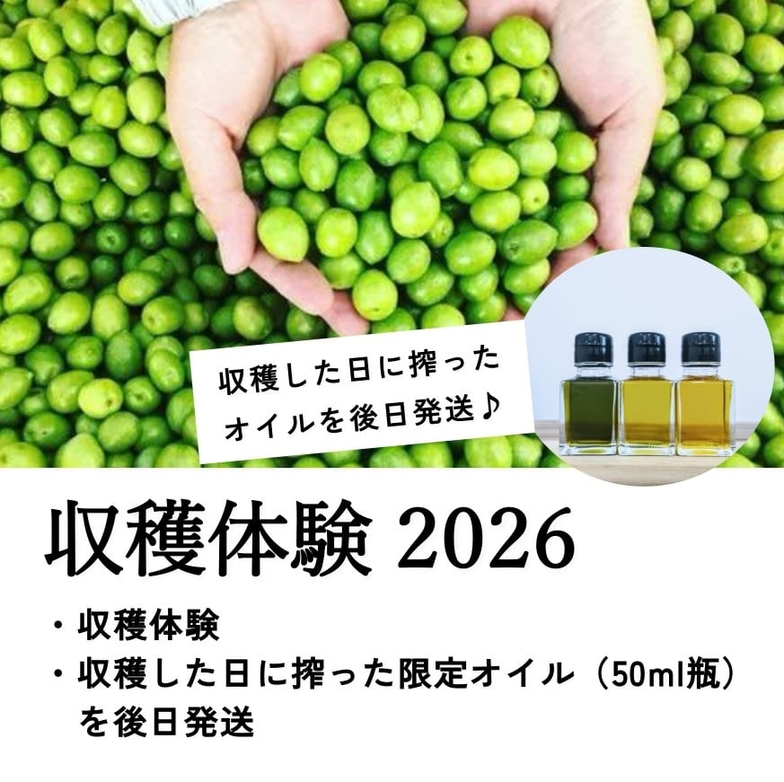 瀬戸内いとなみ舎 / オリーブラボ江田島