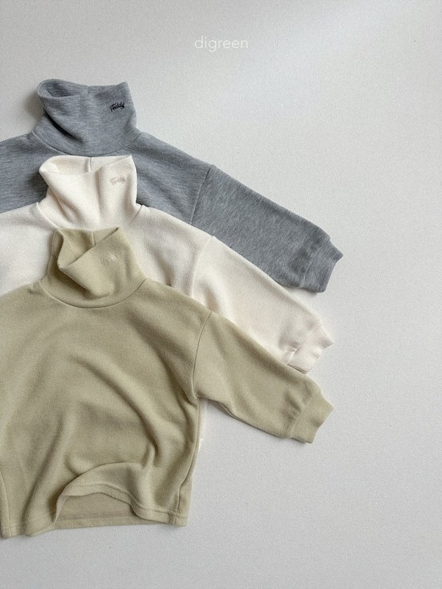 digreen25wn_Teddy Turtleneck