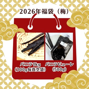 【2026年福袋(梅)】バニラビーンズ 【真空パック100g毎・最上位グレード 1kg】 バニラピューレ【500g】