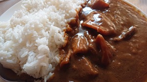 カレー好き必見‼︎大人気‼︎とろっとろ牛すじカレー 10個セット　(YouTube大人気番組令和の虎で紹介された牛すじカレー)