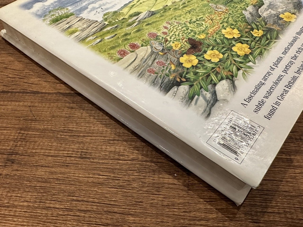 VW165】Wild Flowers of the British Isles and Northern Europe Forey