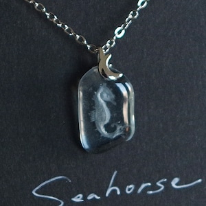 Seahorse │ シーグラスインタリオのペンダント