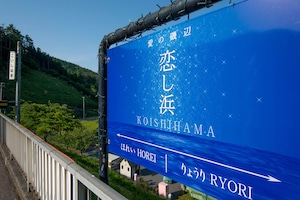 恋し浜ホタテ　１５枚