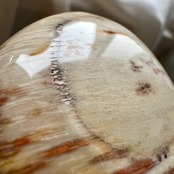 ペトリファイドウッドパームストーン1*天然石パーム*天然石インテリア*置き物